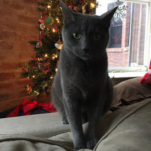 Meet your Posher, Natalie